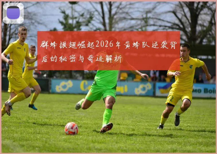 群蜂振翅崛起2026年黄蜂队逆袭背后的秘密与奇迹解析