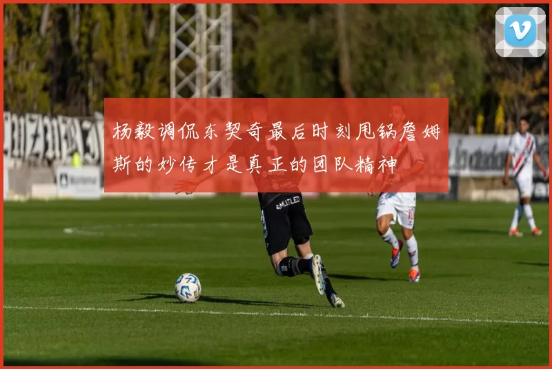 杨毅调侃东契奇最后时刻甩锅詹姆斯的妙传才是真正的团队精神