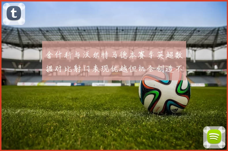 舍什科与沃尔特马德本赛季英超数据对比射门表现优越但机会创造不足